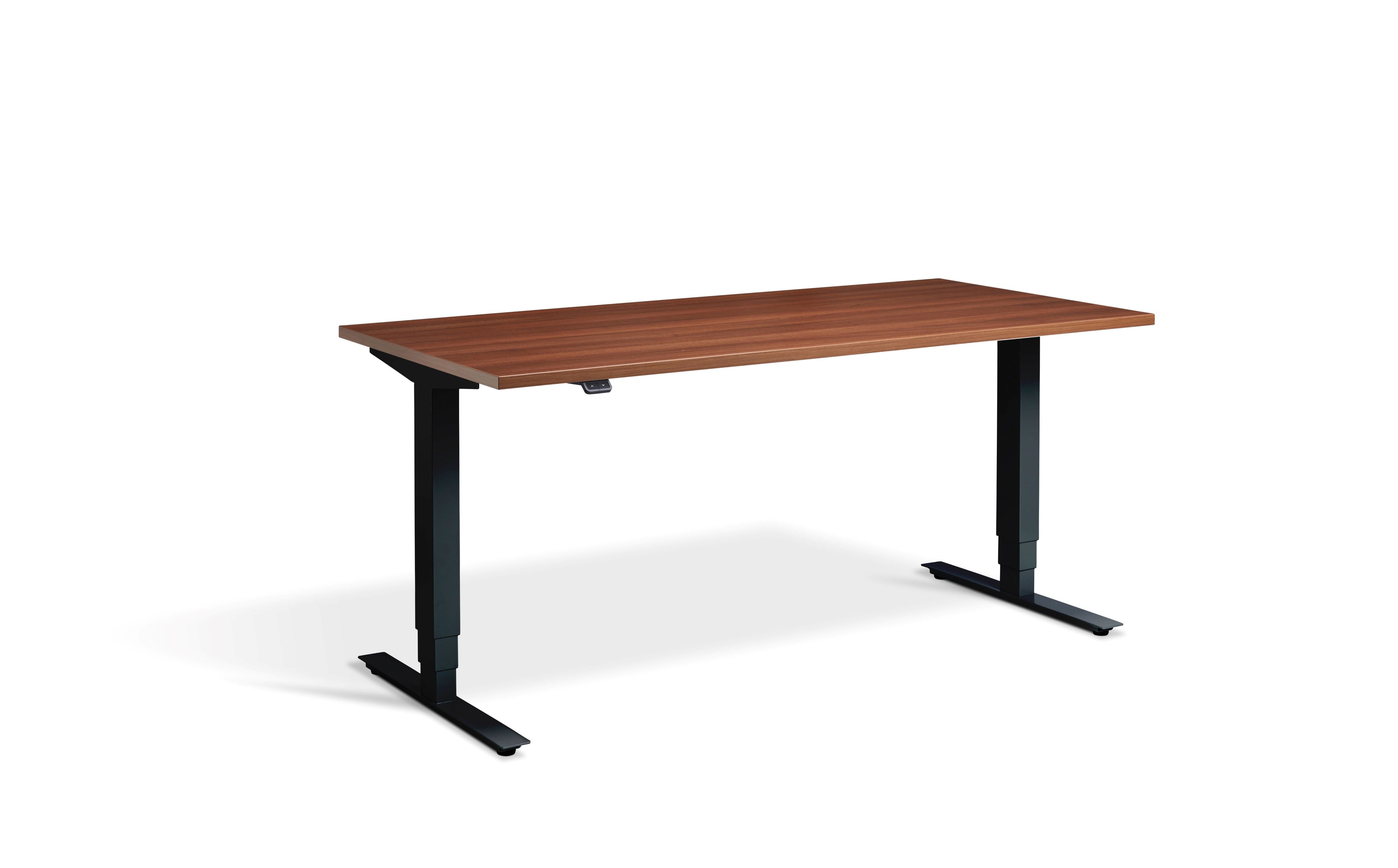 Black Natural Dijon Walnut